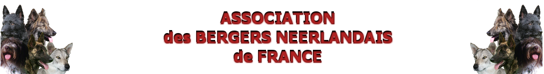 Association des Bergers Néerlandais de France